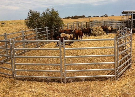 steel cattle panels